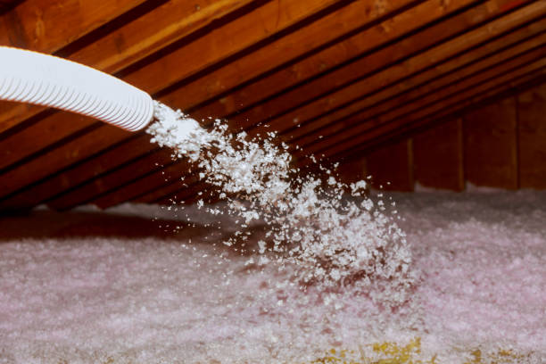 Best DIY Insulation Kits and Guidance in Lo, HI