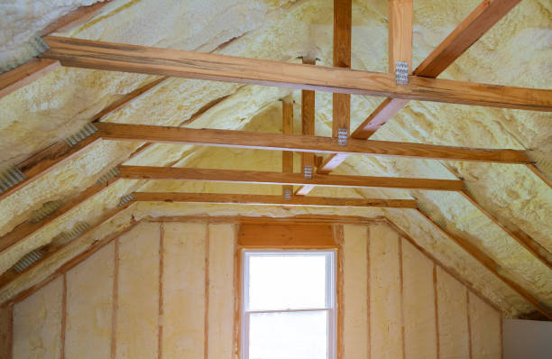 Best Spray Foam Insulation in Lo, HI