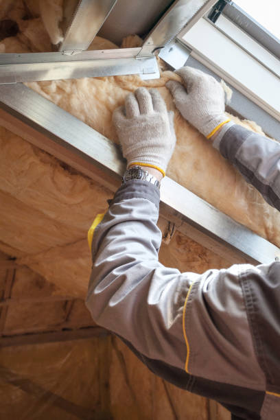 Best Insulation for Specific Applications in Lo, HI