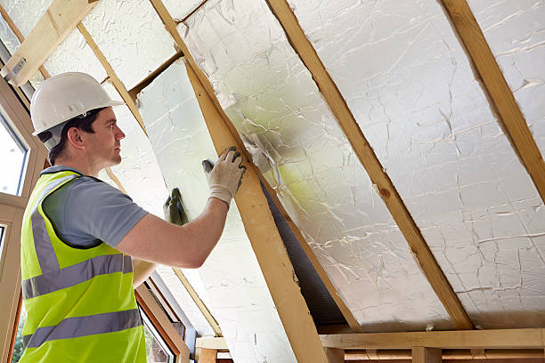 Types of Insulation We Offer in Hilo, HI