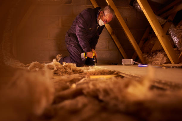 Best Eco-Friendly Insulation in Lo, HI